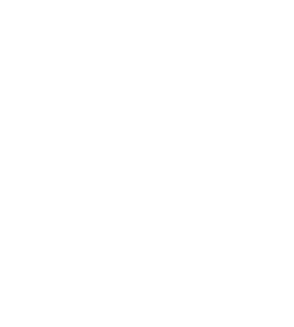 logo Gota Gin in bianco